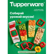 Собирай урожай вкусов!