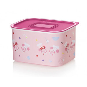 Набор Контейнеров «Акваконтроль «Микки и Минни»