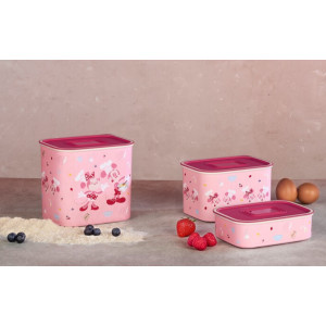 Набор Контейнеров «Акваконтроль «Микки и Минни»