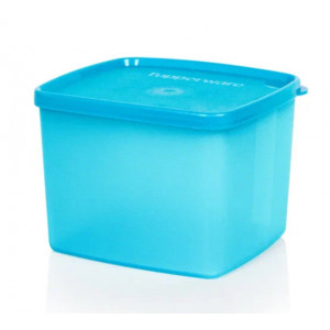 Контейнер «Хранитель» (800мл)