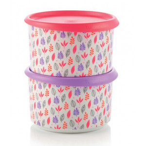 Набор контейнеров в одно касание (940мл) 2шт.