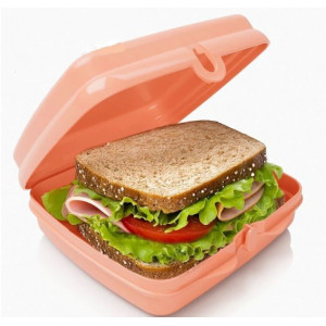 Лан-бокс «Эко+» коралловый 