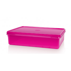 Контейнер «Лилонг» (3л)