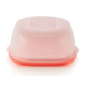 Умная сырница «Кроха» коралловая