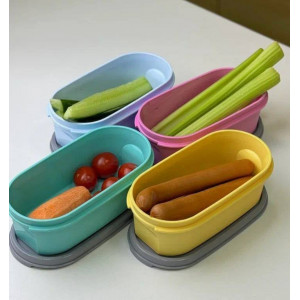 Компактус овальный (500мл) 2шт. голубой/розовый