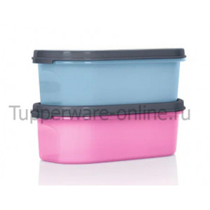 Компактус овальный (500мл) 2шт. голубой/розовый