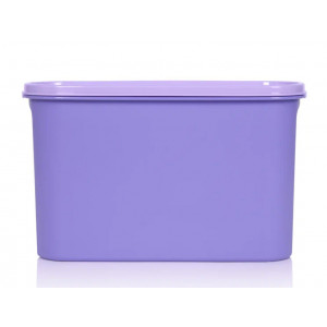 Компактус овальный (2,8л) сиреневый