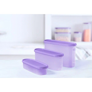 Компактус овальный (2,8л) сиреневый Компактус овальный (2,8л) сиреневый