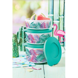 Набор контейнеров «Иллюмина» «Тропикана» (350/550/800/2,5/4,3лл) Набор контейнеров «Иллюмина» «Тропикана» (350/550/800/2,5/4,3лл)