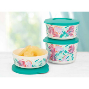 Набор контейнеров «Иллюмина» «Тропикана» (350/550/800/2,5/4,3лл) Набор контейнеров «Иллюмина» «Тропикана» (350/550/800/2,5/4,3лл)