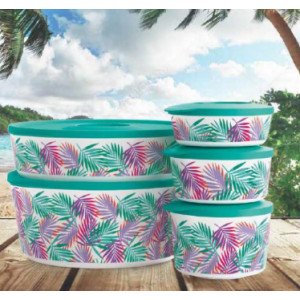Набор контейнеров «Иллюмина» «Тропикана» (350/550/800/2,5/4,3лл) Набор контейнеров «Иллюмина» «Тропикана» (350/550/800/2,5/4,3лл)