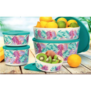 Набор контейнеров «Иллюмина» «Тропикана» (350/550/800/2,5/4,3лл) Набор контейнеров «Иллюмина» «Тропикана» (350/550/800/2,5/4,3лл)