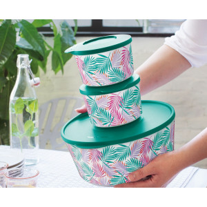 Набор контейнеров «Иллюмина» «Тропикана» (350/550/800/2,5/4,3лл) Набор контейнеров «Иллюмина» «Тропикана» (350/550/800/2,5/4,3лл)